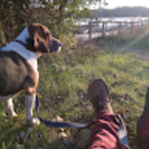 Meet your Posher, Joseph